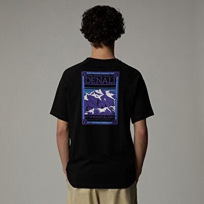 Tシャツ・カットソー THE NORTH FACE 'North Faces' T-shirt (NF0A87NUJK31 NFJK3) Men's North Faces T-Shirt | The North Face FI