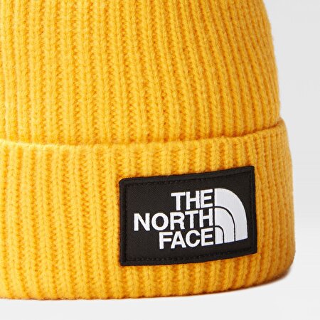 TNF LOGO BOX CUFFED BERE