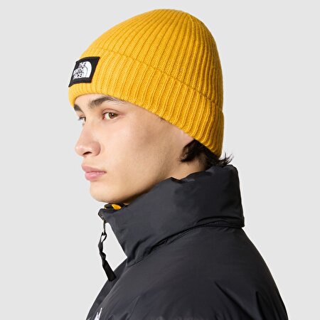 TNF LOGO BOX CUFFED BERE