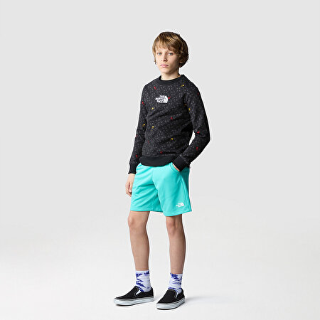 ERKEK ÇOCUK DREW PEAK LIGHT CREW BASKILI SWEATSHIRT