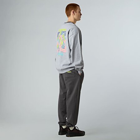 Unisex Expedition Celebration Oversize Sweatshirt