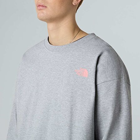 Unisex Expedition Celebration Oversize Sweatshirt