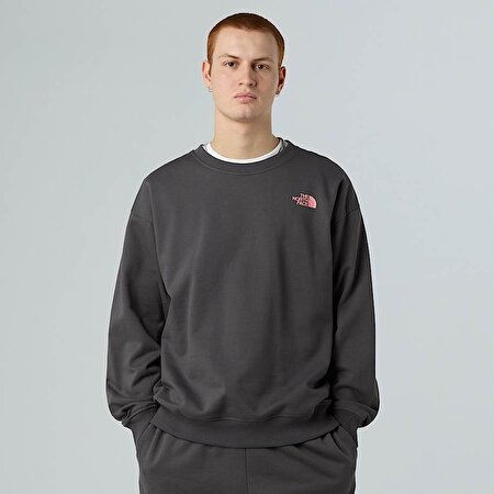 Unisex Expedition Celebration Oversize Sweatshirt