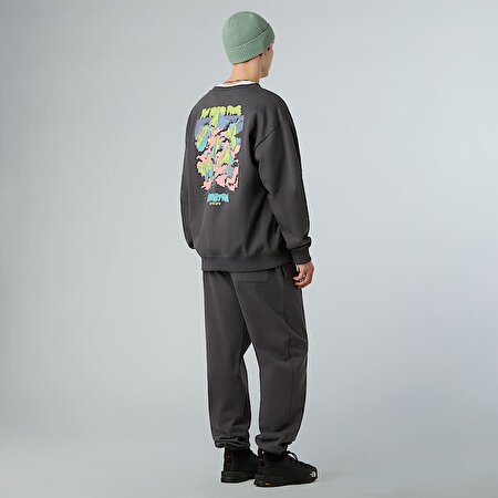 Unisex Expedition Celebration Oversize Sweatshirt