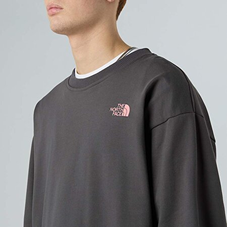 Unisex Expedition Celebration Oversize Sweatshirt