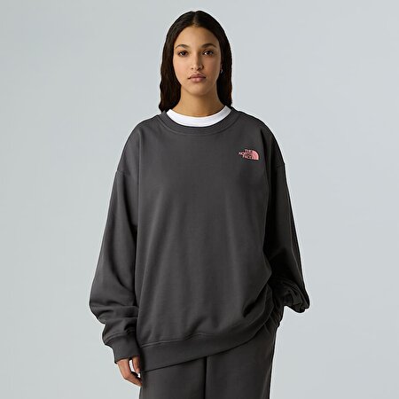 Unisex Expedition Celebration Oversize Sweatshirt