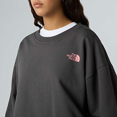 Unisex Expedition Celebration Oversize Sweatshirt