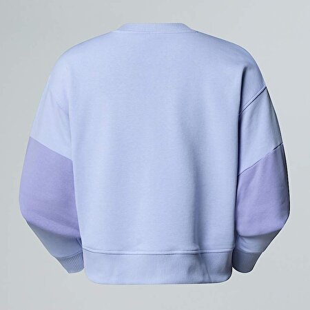 Kadın Terry Oversized Cropped Sweatshirt