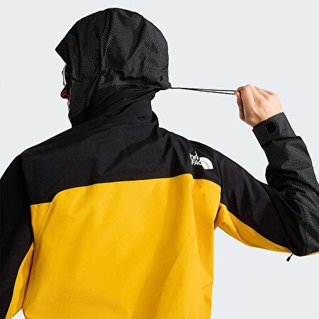 Erkek Summit Mountain GORE-TEX® Pro Mont