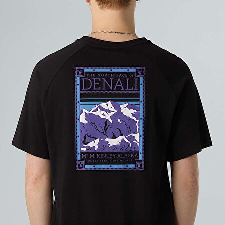ERKEK NORTH FACES TİŞÖRT