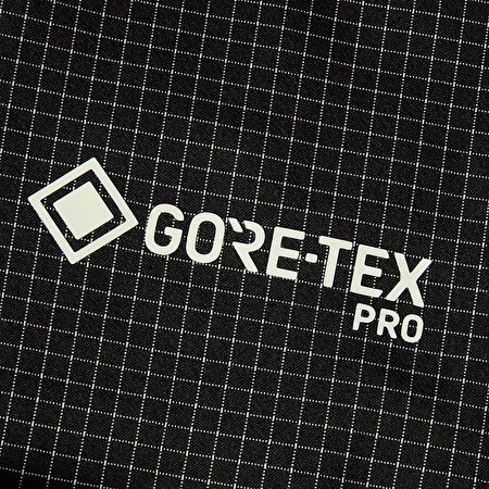 Kadın Summit Mountain GORE-TEX® Pro Mont