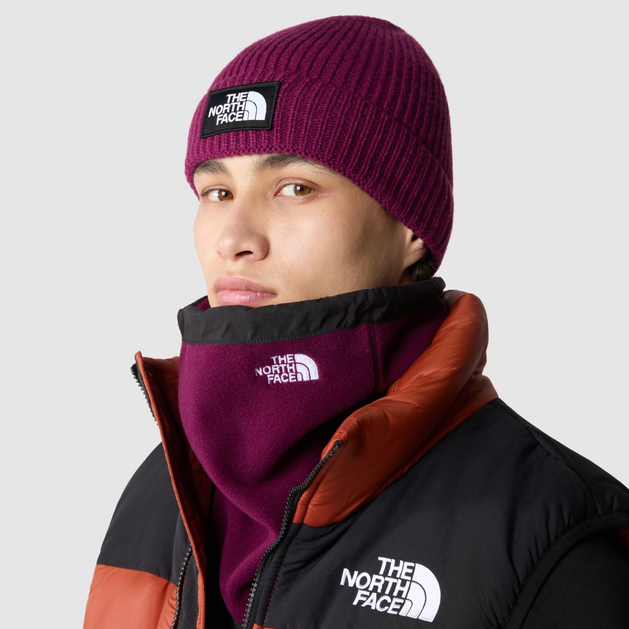 TNF LOGO BOX CUFFED BERE