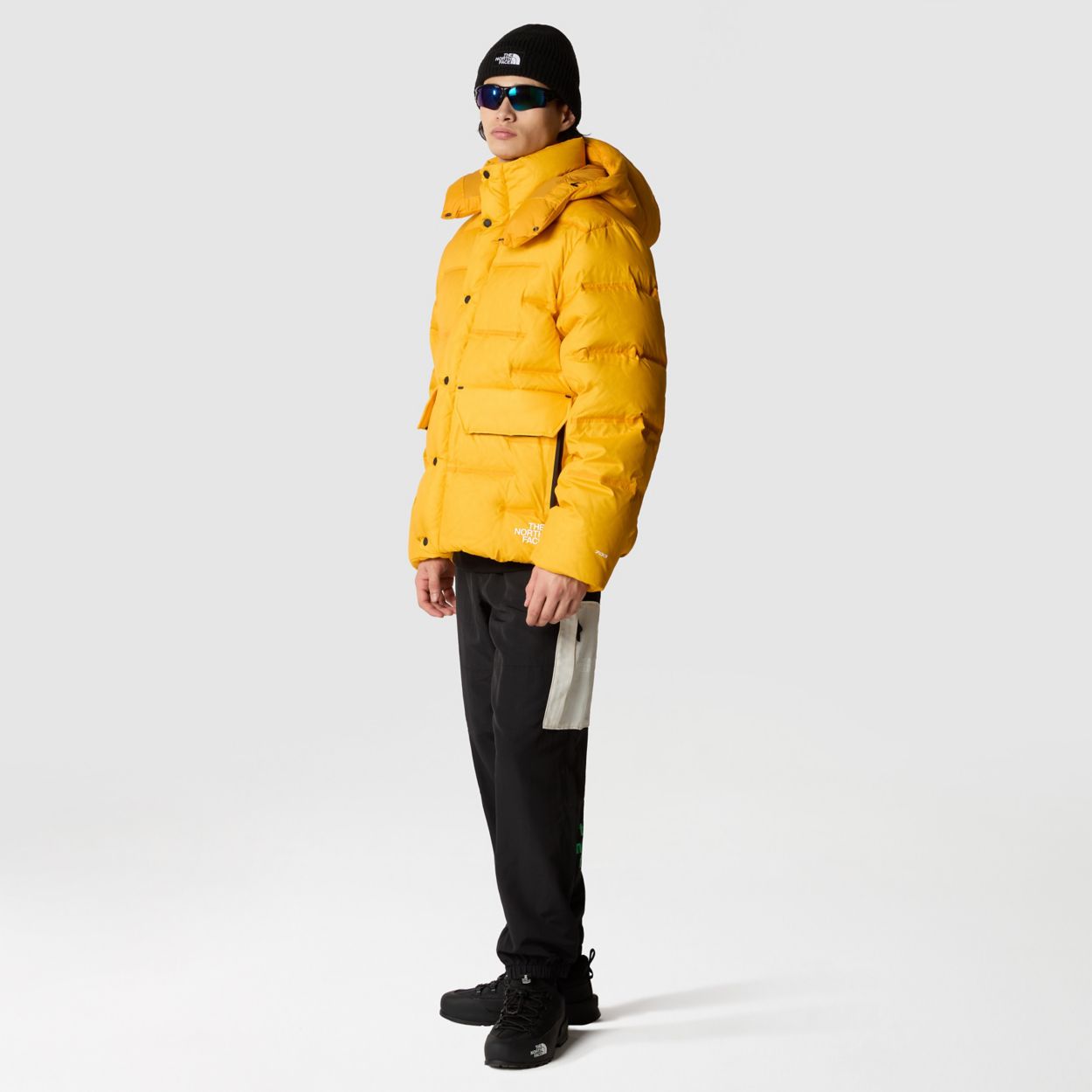 North face sierra store parka