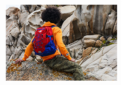 the north face